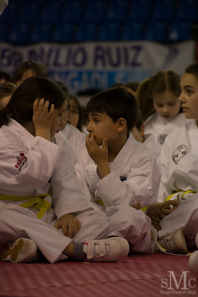 TAEKWONDO CAMPEONATO PAREJAS ABRIL 2018_2121.jpg